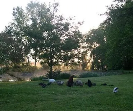 Au Bas Chalonge Le Four A Pain * Ligné