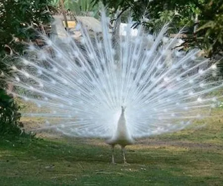 בית נופש Au Bas Chalonge Le Four A Pain *