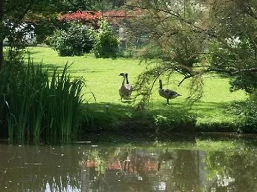 Alloggio in famiglia Au Bas Chalonge Le Four à Pain