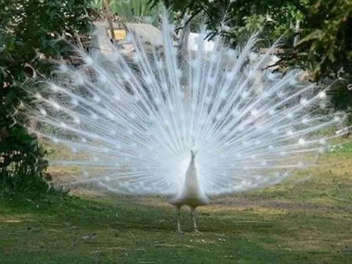 Ferienhaus Au Bas Chalonge Gite Le Four A Pain *